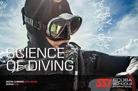 Science of diving.jpeg